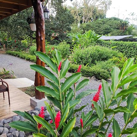 Arenal Sweet Cabins La Fortuna Exteriér fotografie