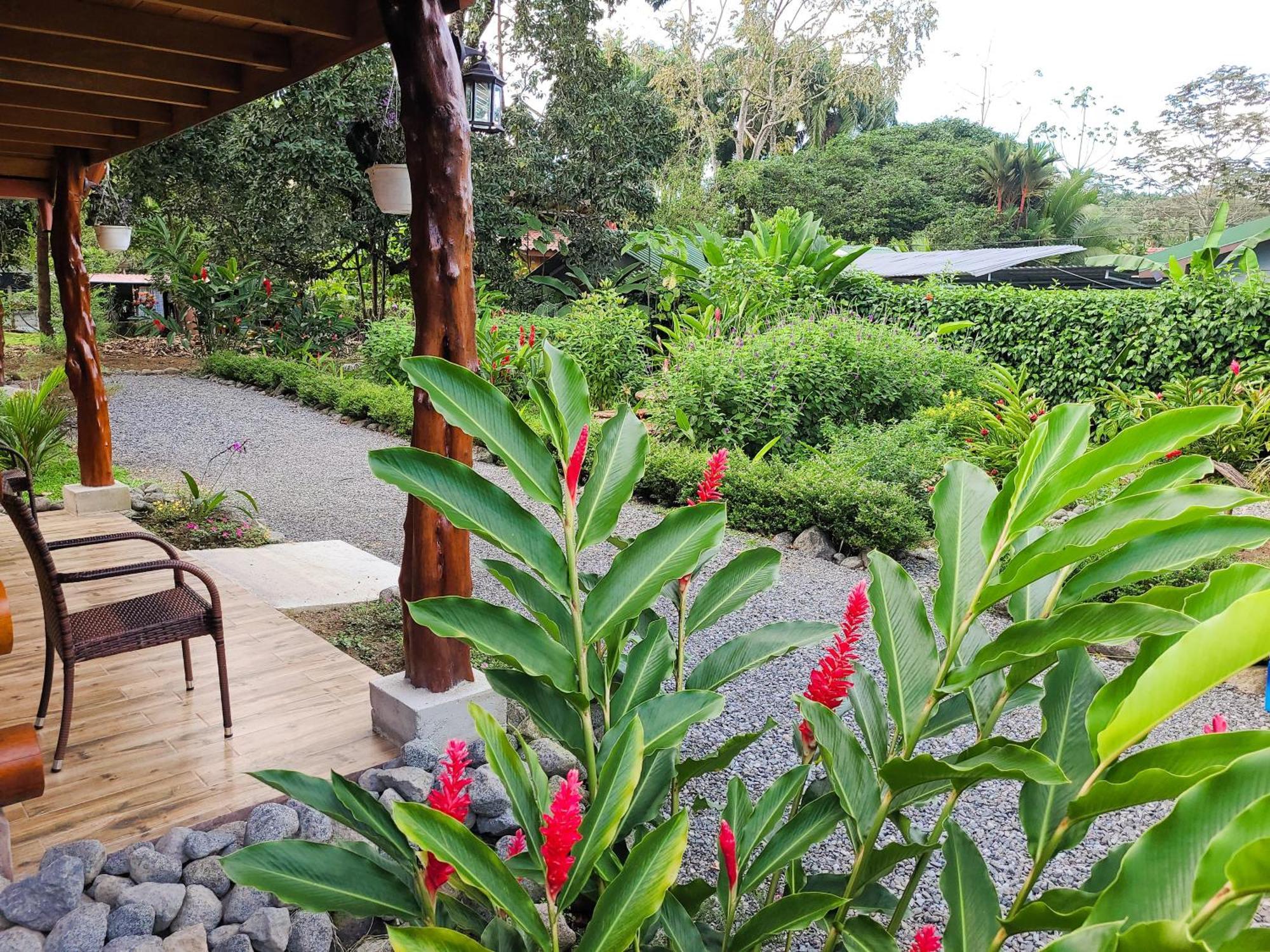 Arenal Sweet Cabins La Fortuna Exteriér fotografie