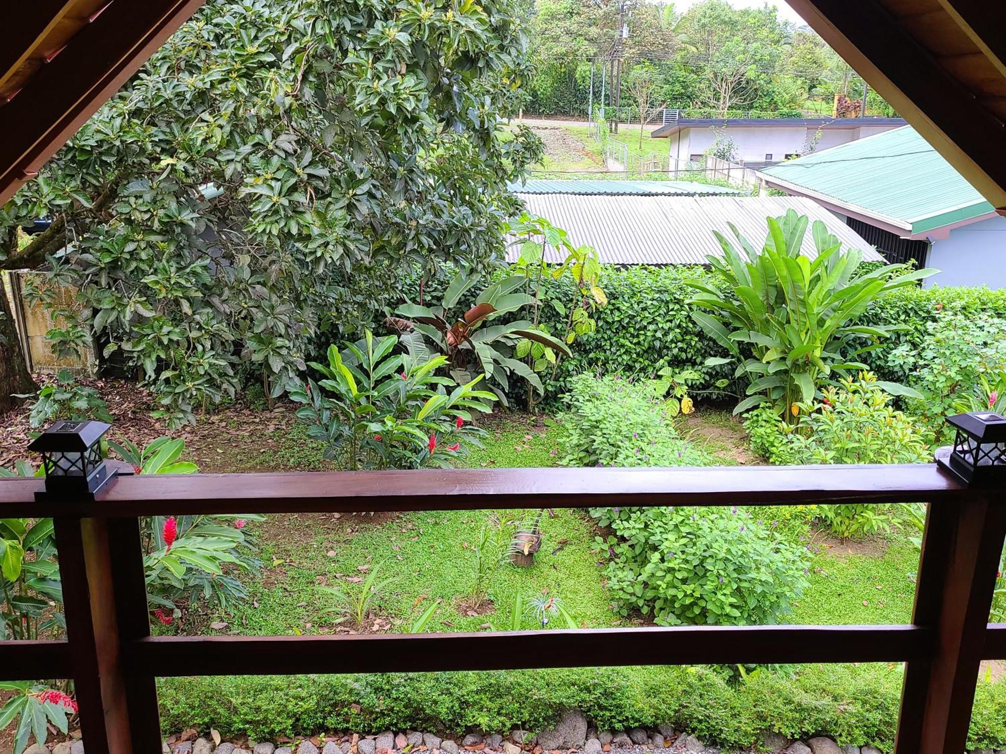 Arenal Sweet Cabins La Fortuna Exteriér fotografie