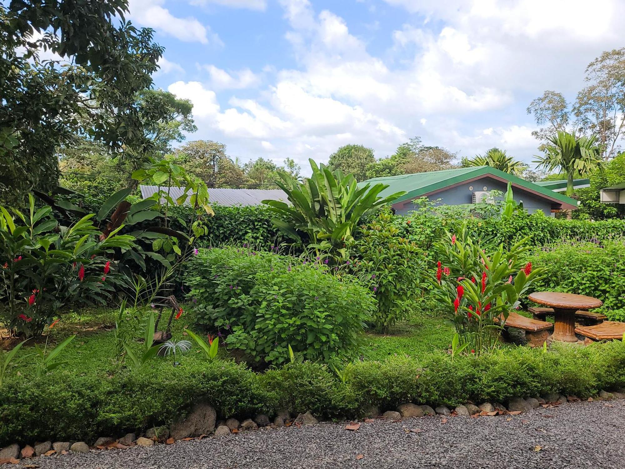 Arenal Sweet Cabins La Fortuna Exteriér fotografie